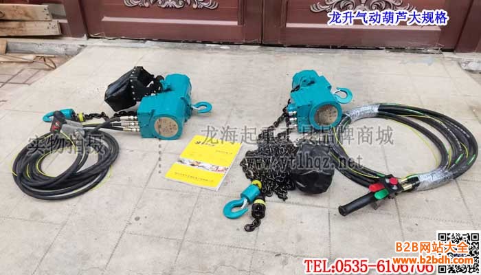 龙升气动葫芦大规格单条大图