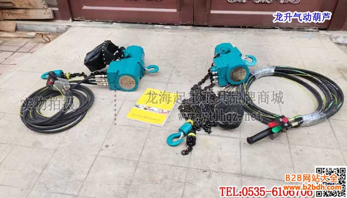 龙升气动葫芦单条大图